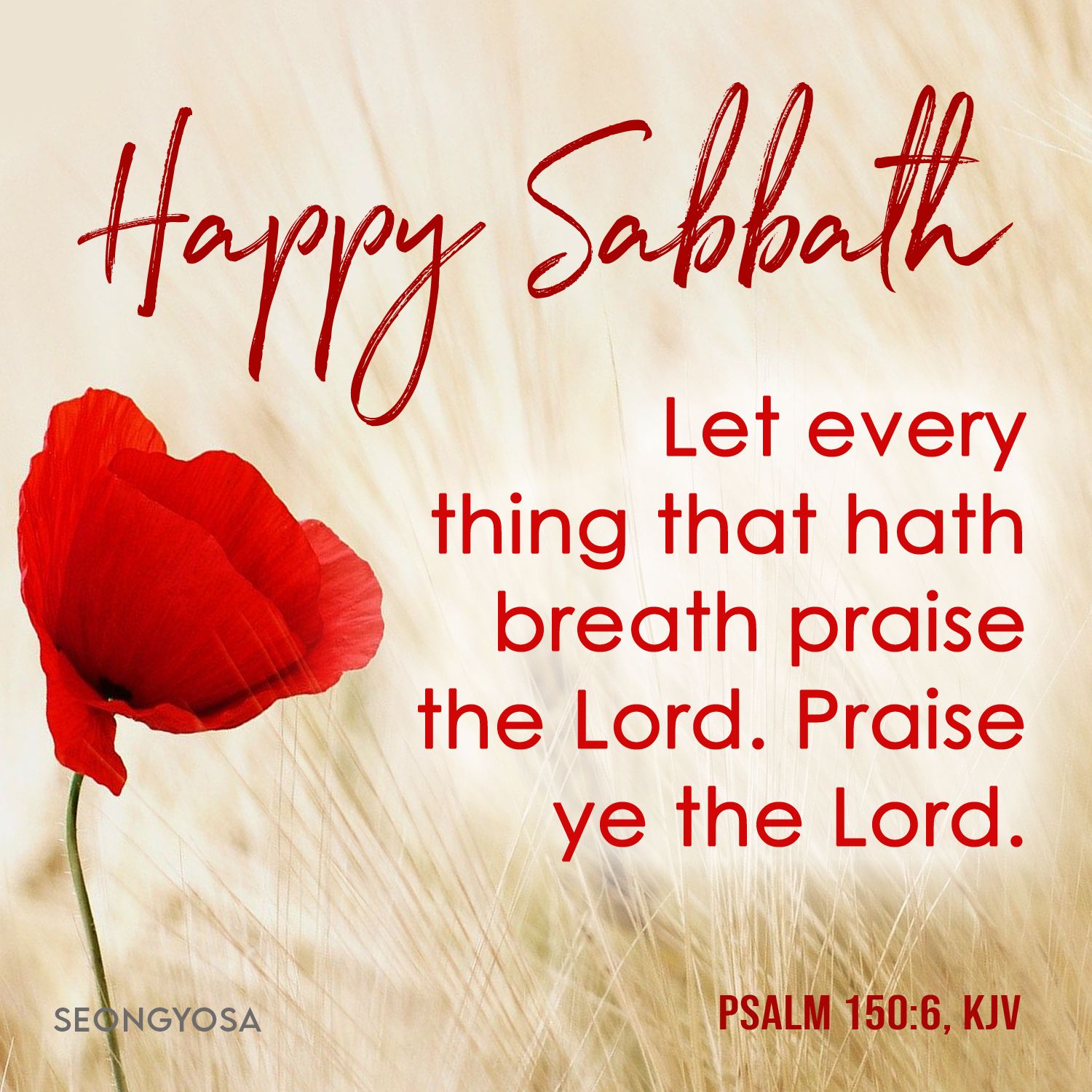 Happy Sabbath Quotes - KibrisPDR