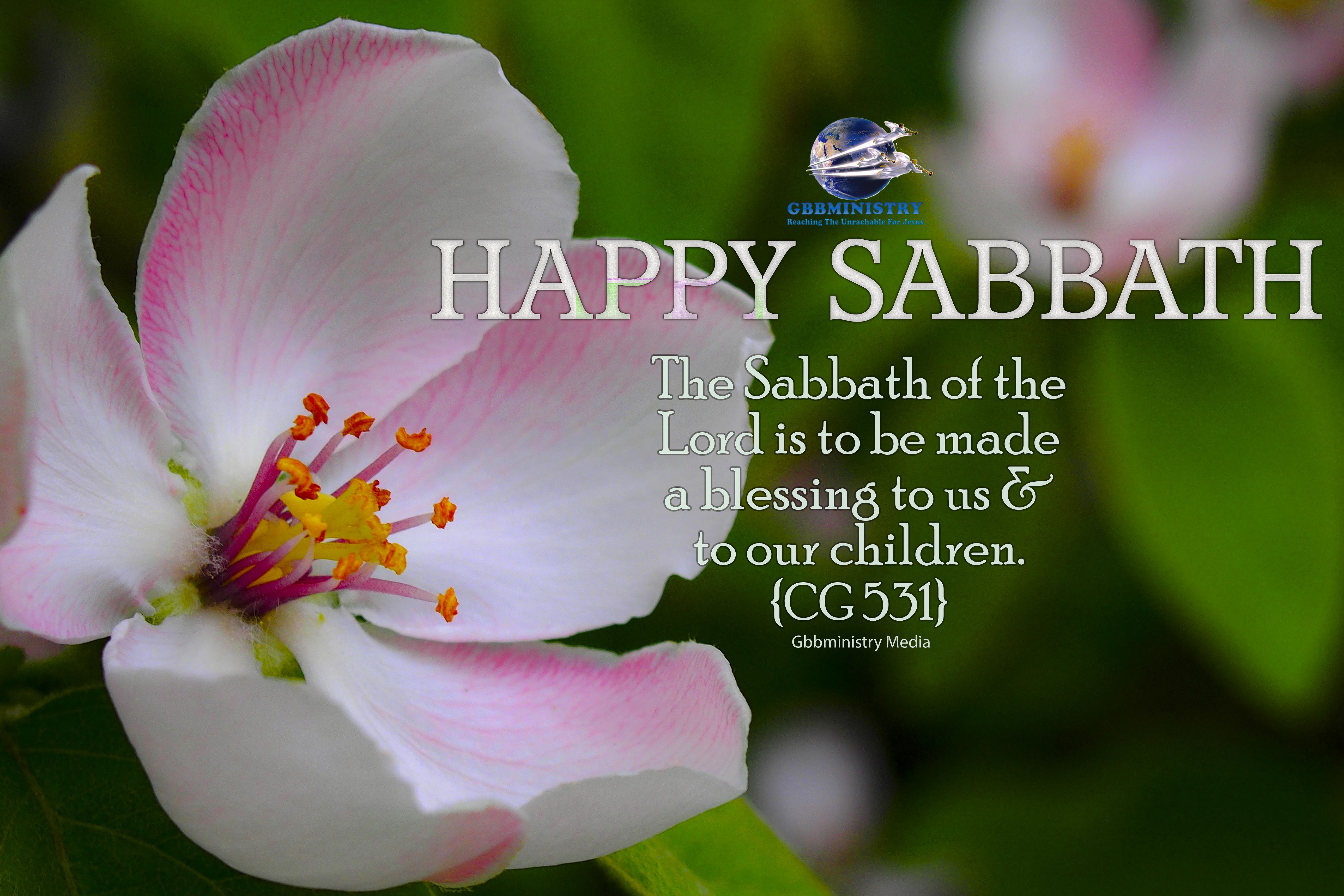 Detail Happy Sabbath Quotes Nomer 2