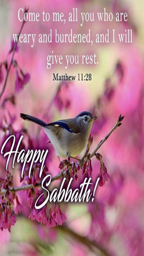 Detail Happy Sabbath Quotes Nomer 37