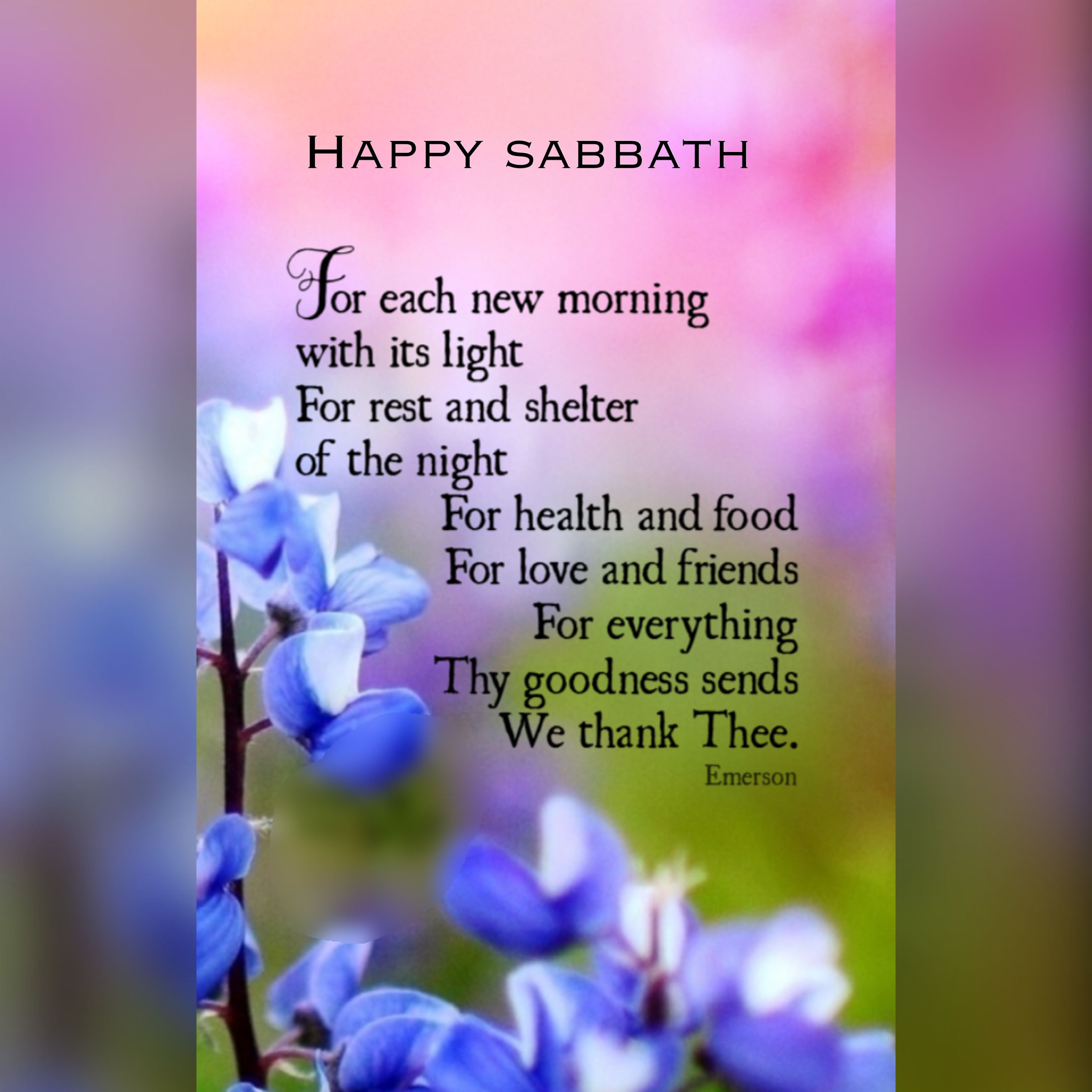 Detail Happy Sabbath Quotes Nomer 6