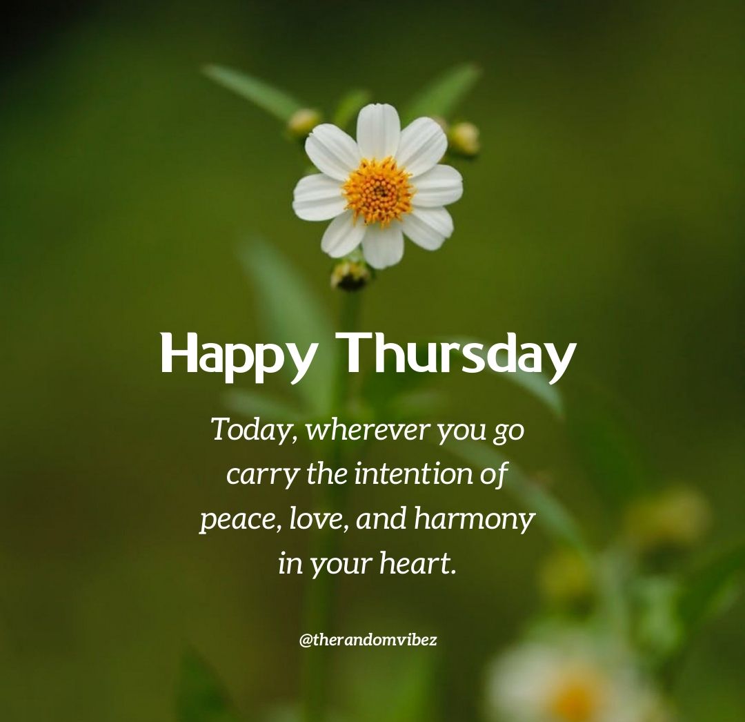 Happy Thursday Quotes - KibrisPDR