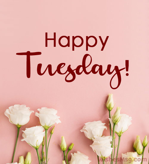 Download Happy Tuesday Quotes Nomer 3