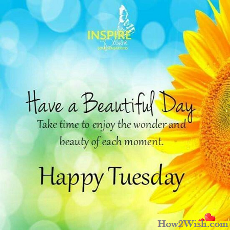 Download Happy Tuesday Quotes Nomer 42