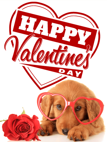 Detail Happy Valentines Day Dachshund Images Nomer 3