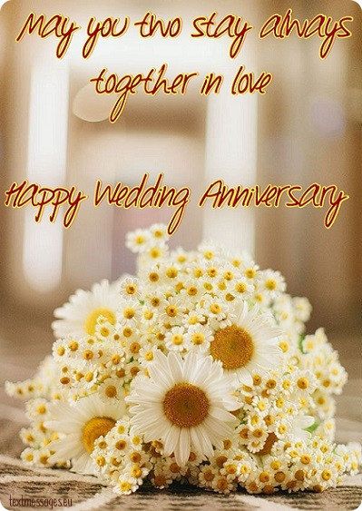 Detail Happy Wedding Day Quotes For Friends Nomer 21