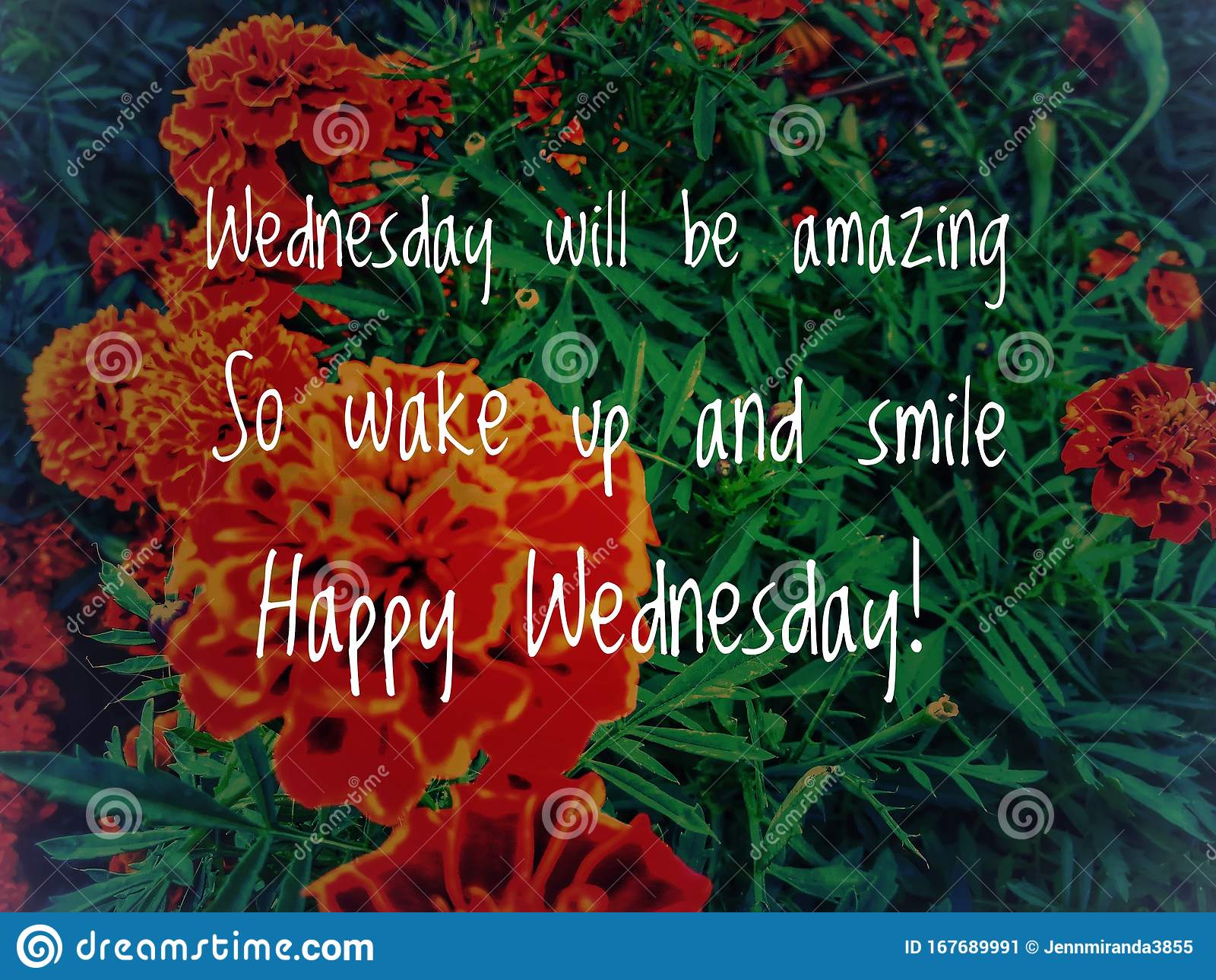 Detail Happy Wednesday Quotes Nomer 53