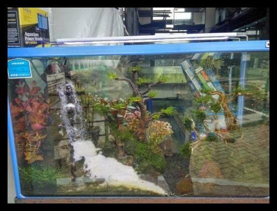 Detail Harga Air Terjun Aquascape Nomer 47