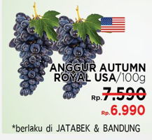 Detail Harga Anggur Autumn Royal Nomer 40