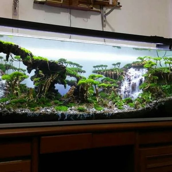 Detail Harga Aquarium Air Terjun Nomer 3