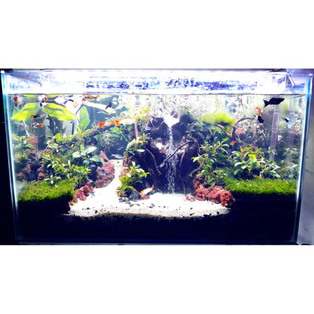 Detail Harga Aquarium Air Terjun Nomer 23