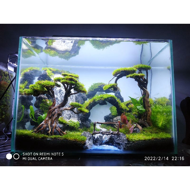 Detail Harga Aquarium Air Terjun Nomer 37