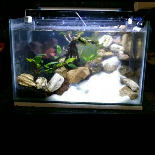 Detail Harga Aquarium Air Terjun Nomer 40