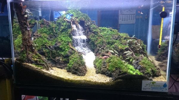 Detail Harga Aquarium Air Terjun Nomer 43