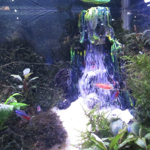 Detail Harga Aquarium Air Terjun Nomer 7