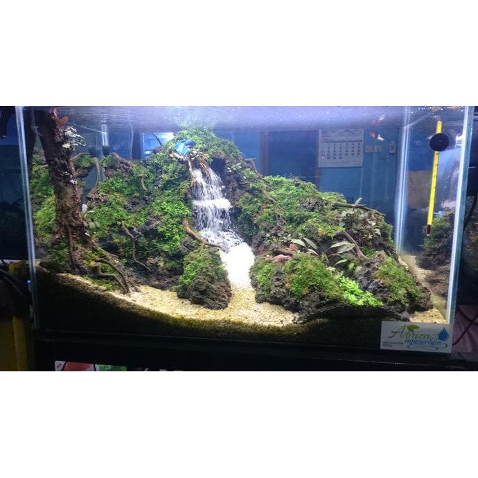 Detail Harga Aquarium Air Terjun Nomer 8