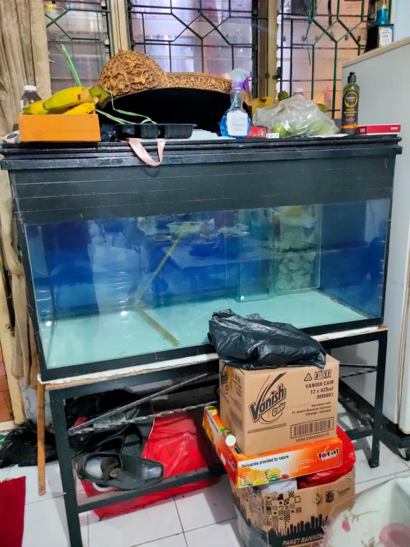 Detail Harga Aquarium Besar Untuk Arwana Nomer 11