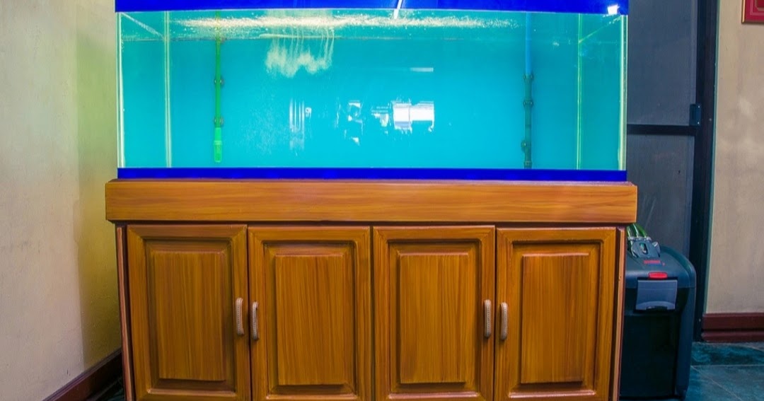 Detail Harga Aquarium Besar Untuk Arwana Nomer 17