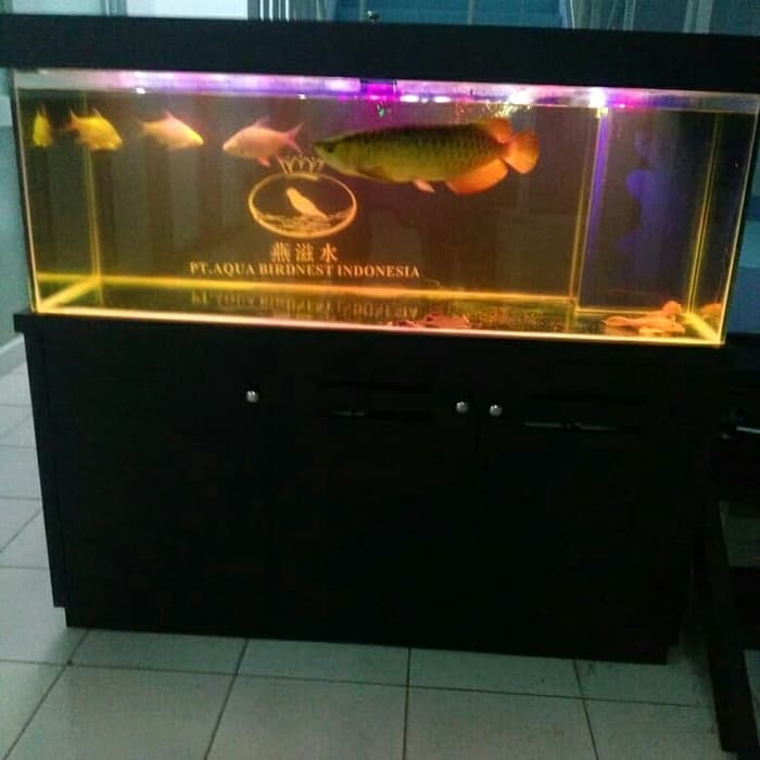 Detail Harga Aquarium Besar Untuk Arwana Nomer 20