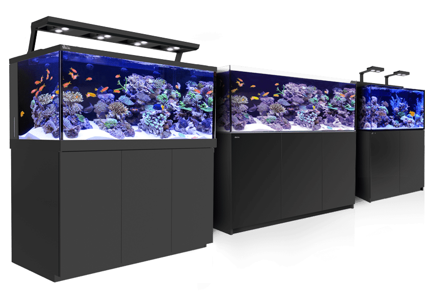 Detail Harga Aquarium Besar Untuk Arwana Nomer 5