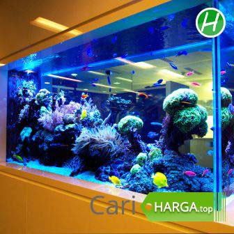 Detail Harga Aquarium Besar Untuk Arwana Nomer 7