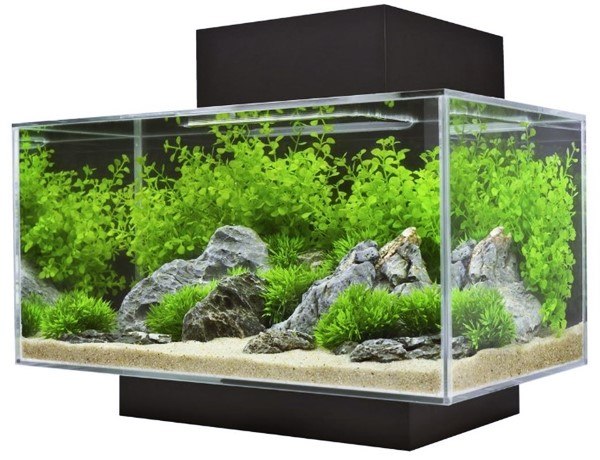 Detail Harga Aquarium Kaca Ukuran 1 Meter Nomer 4