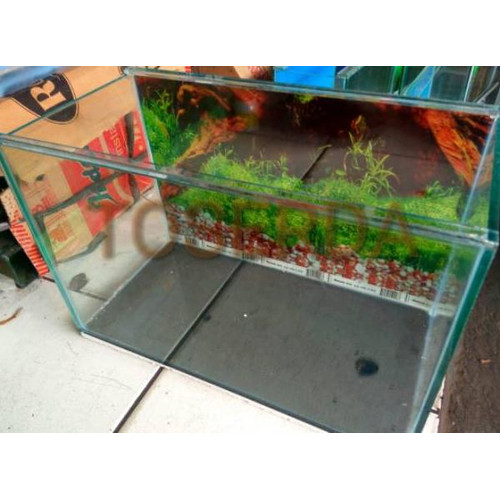 Download Harga Aquarium Styrofoam Nomer 24