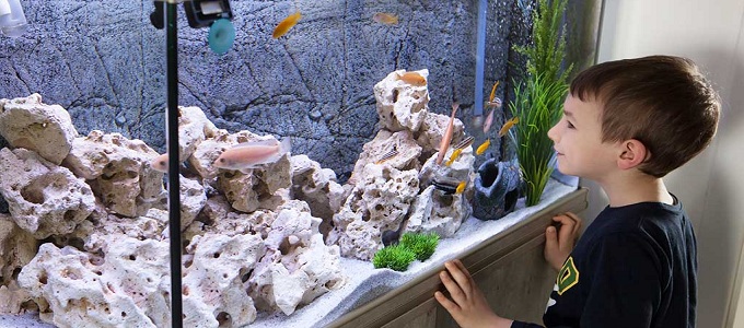 Detail Harga Aquarium Styrofoam Nomer 34