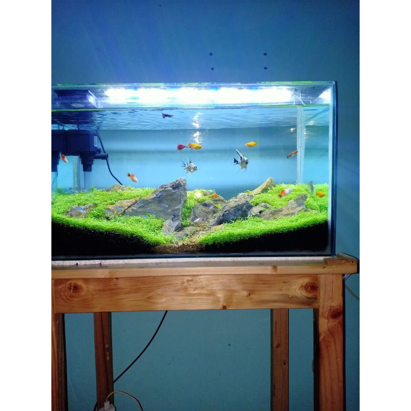 Detail Harga Aquascape Full Set Nomer 54