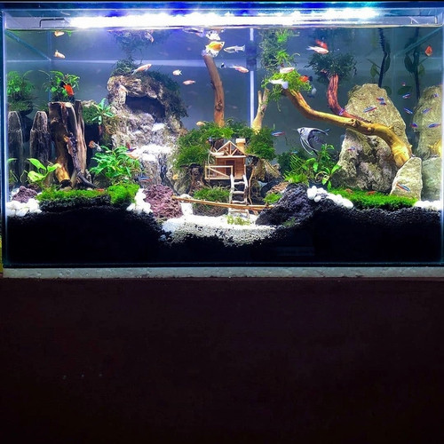 Detail Harga Aquascape Full Set Nomer 7