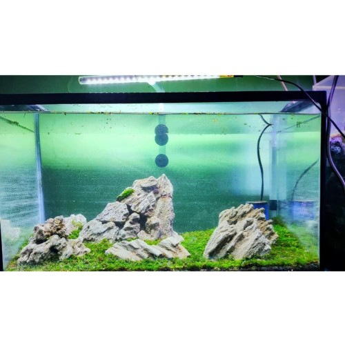 Detail Harga Aquascape Full Set Nomer 9