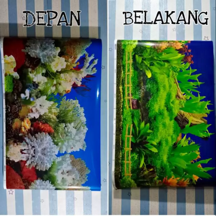 Detail Harga Background Aquarium Nomer 20