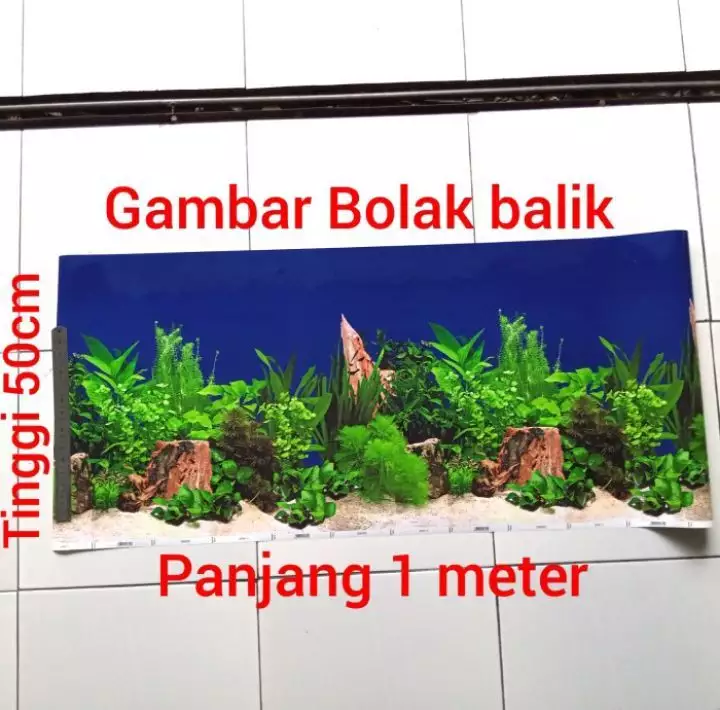 Detail Harga Background Aquarium Nomer 3