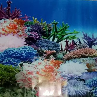 Detail Harga Background Aquarium Nomer 24