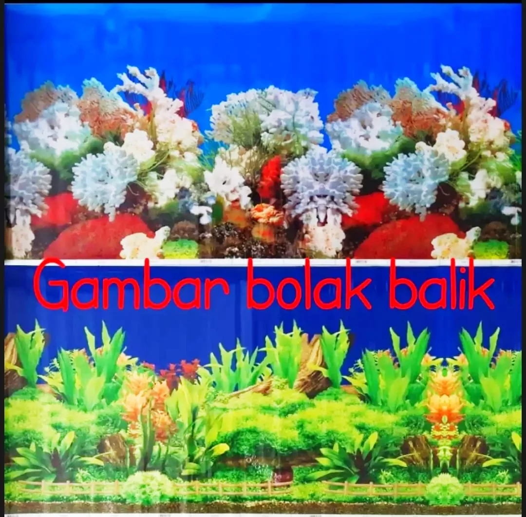 Detail Harga Background Aquarium Nomer 36