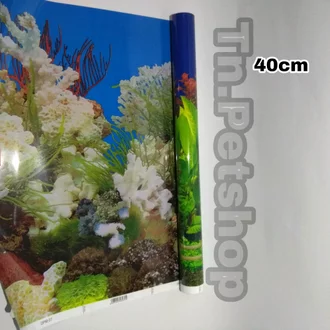 Detail Harga Background Aquarium Nomer 56