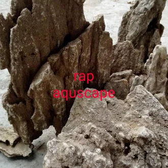 Detail Harga Batu Pasir Aquascape Nomer 16