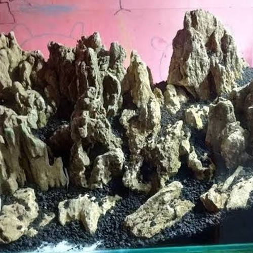 Detail Harga Batu Pasir Aquascape Nomer 9