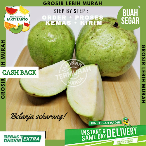 Detail Harga Buah Jambu Kristal Nomer 28