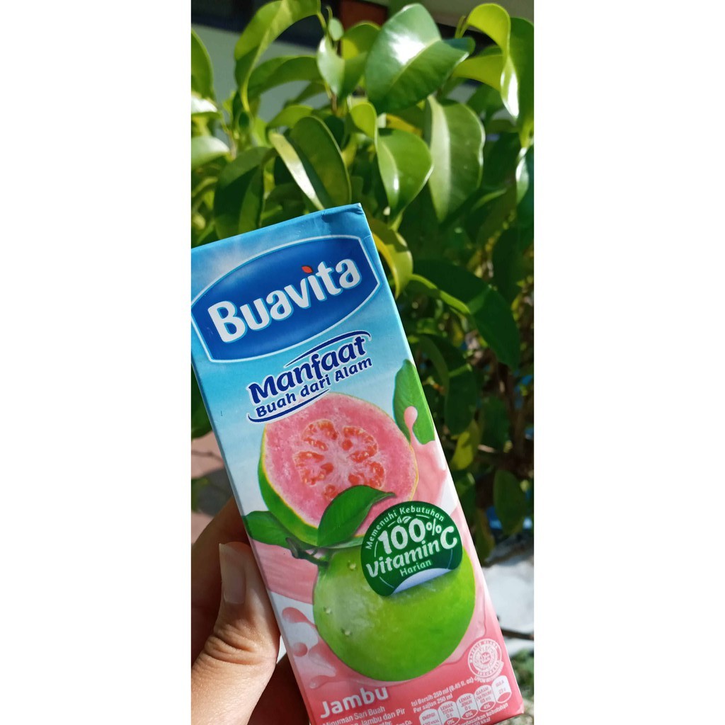 Detail Harga Buavita Jambu 250 Ml Nomer 41