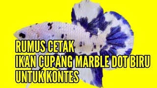 Detail Harga Cupang Marble Dot Dot Nomer 21