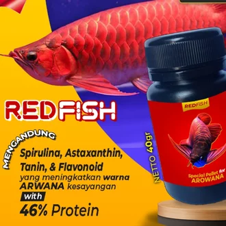 Detail Harga Ikan Arwana Golden Red Nomer 44