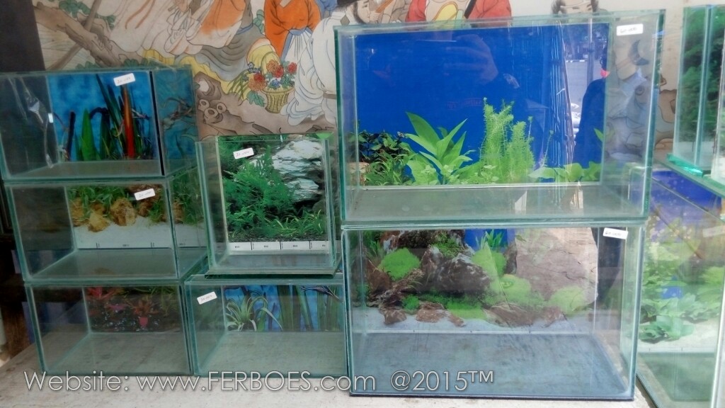 Detail Harga Kaca Aquarium Kecil Nomer 20