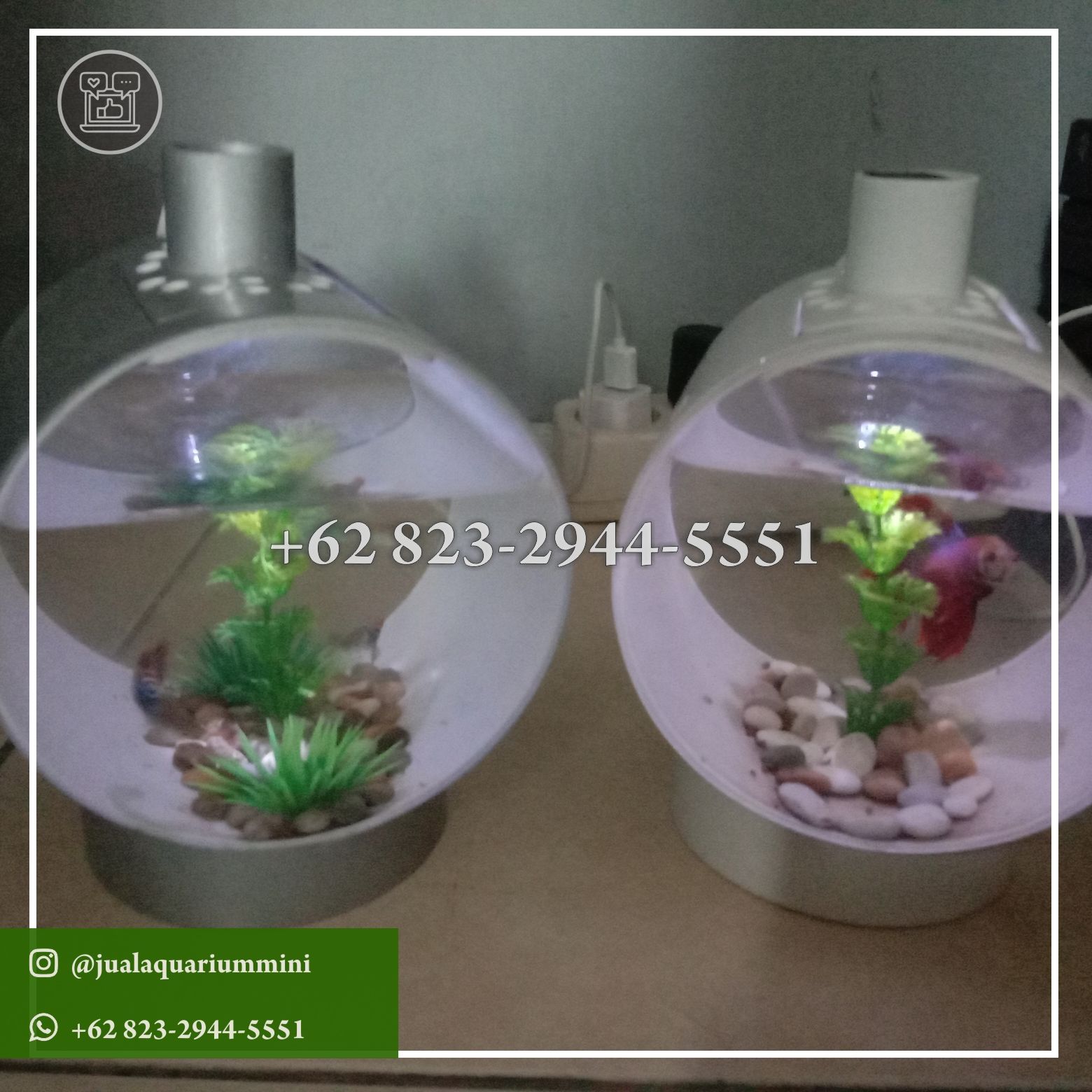 Detail Harga Kaca Aquarium Kecil Nomer 31