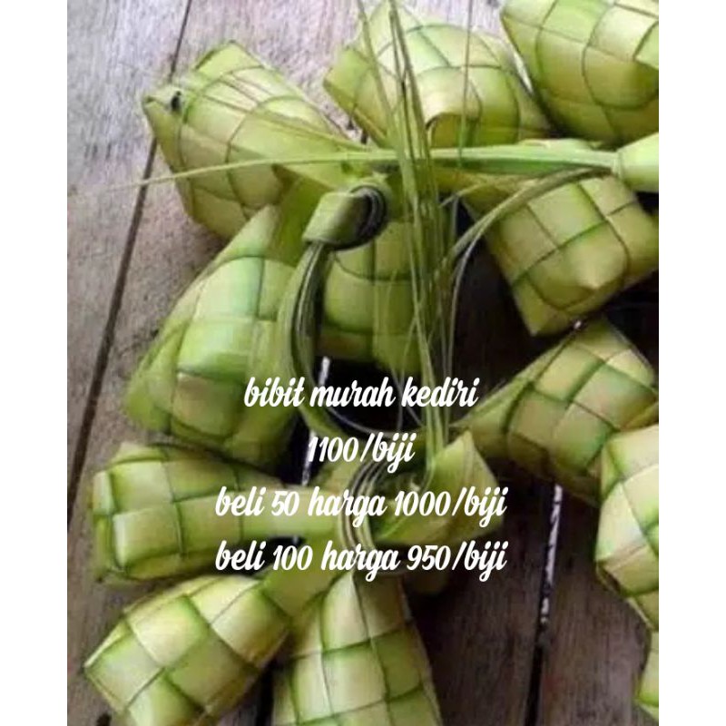 Detail Harga Ketupat Kosong Nomer 10