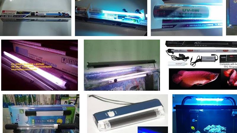 Detail Harga Lampu Ultraviolet Untuk Aquarium Nomer 10