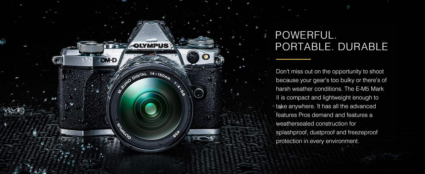 Detail Harga Olympus Omd Em5 Mark Ii Nomer 53