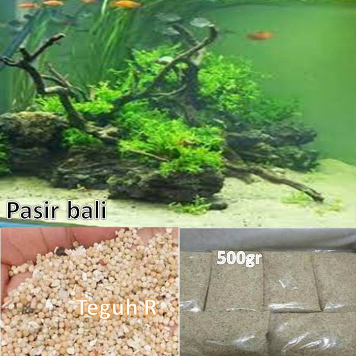 Detail Harga Pasir Akuarium Air Tawar Nomer 33