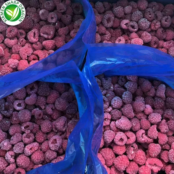Detail Harga Raspberry Buah Nomer 49