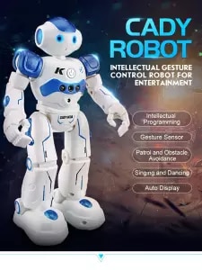 Detail Harga Robot Emo Nomer 44