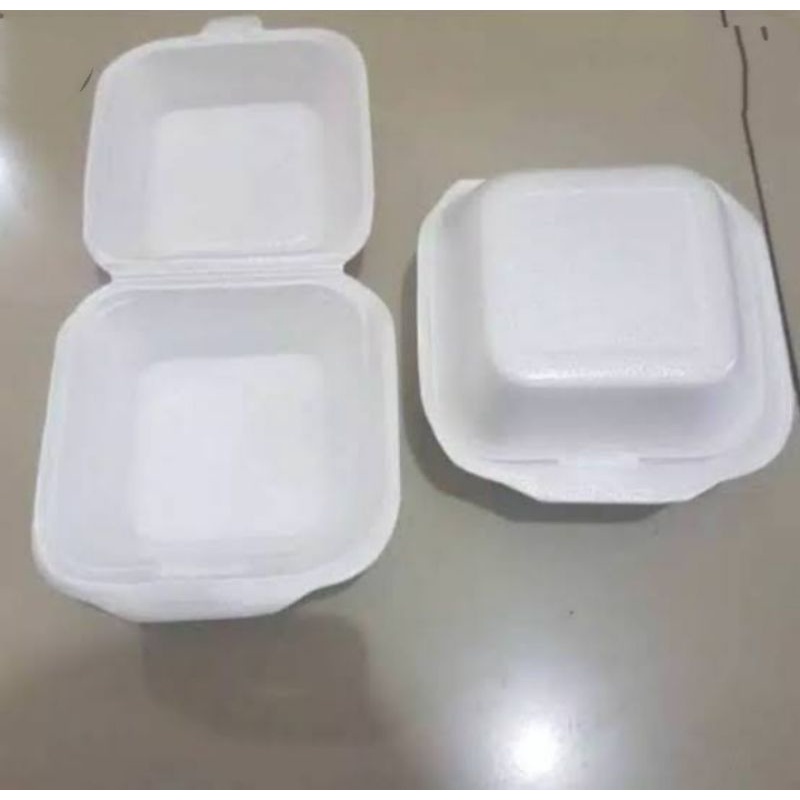 Detail Harga Styrofoam Box Kecil Makanan Nomer 13